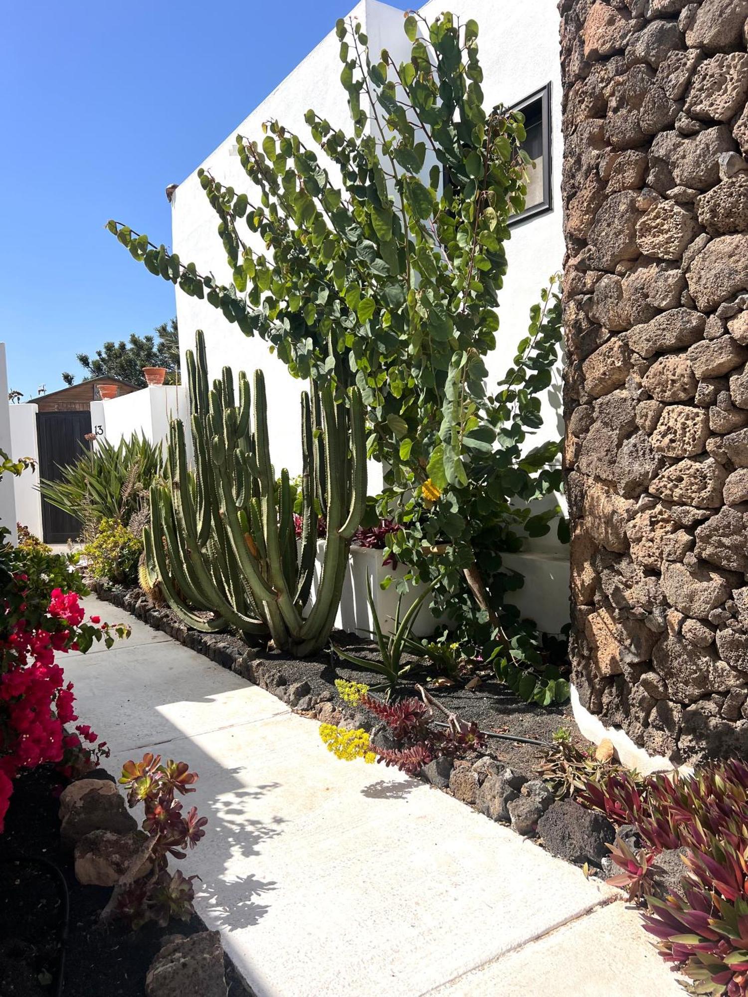 コスタ・テギセ Oasis En Lanzaroteヴィラ エクステリア 写真
