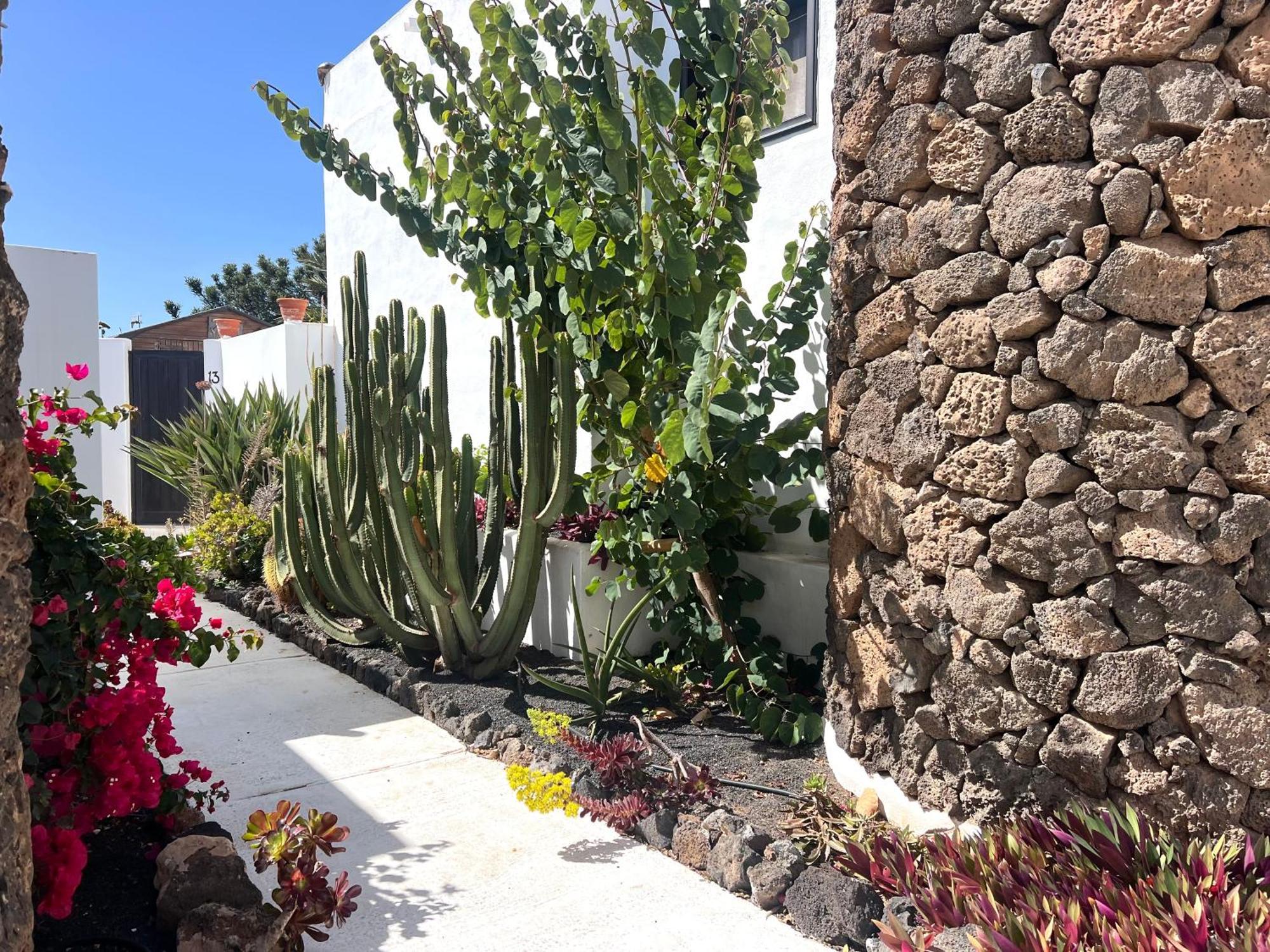 コスタ・テギセ Oasis En Lanzaroteヴィラ エクステリア 写真