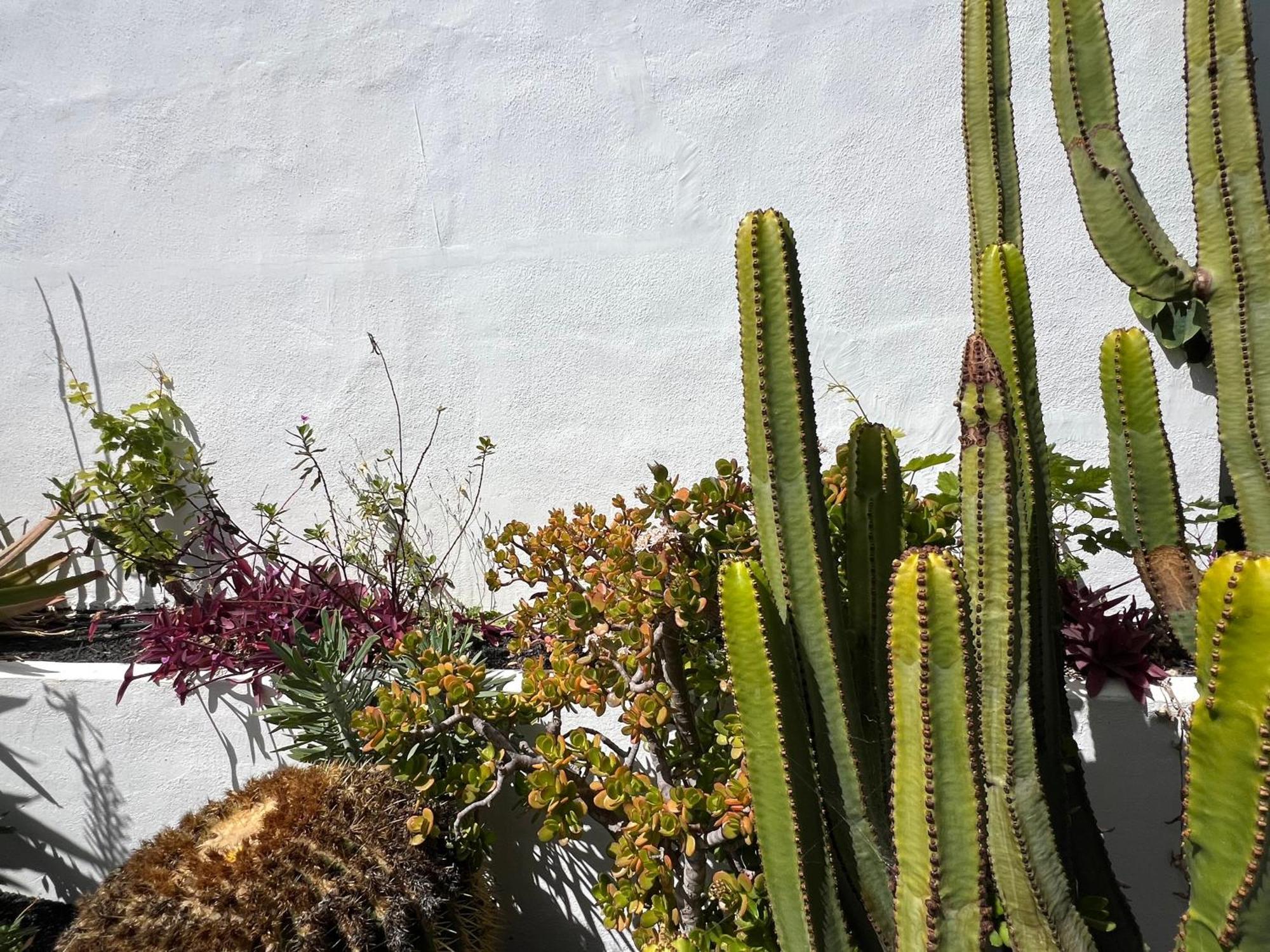 コスタ・テギセ Oasis En Lanzaroteヴィラ エクステリア 写真