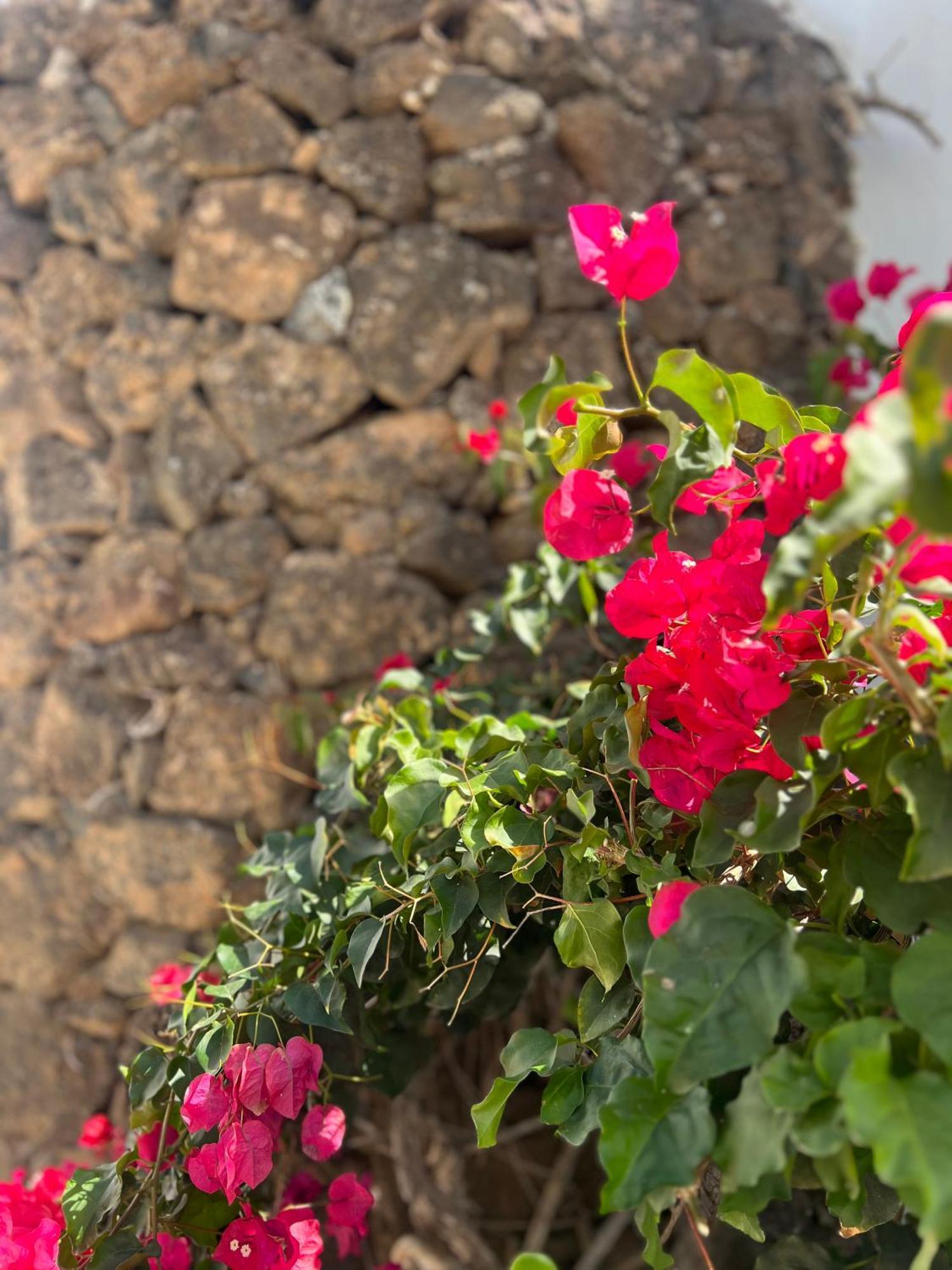 コスタ・テギセ Oasis En Lanzaroteヴィラ エクステリア 写真